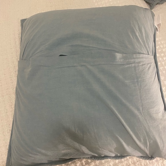 Pottery Barn Euro Shams - Picture 3 of 3